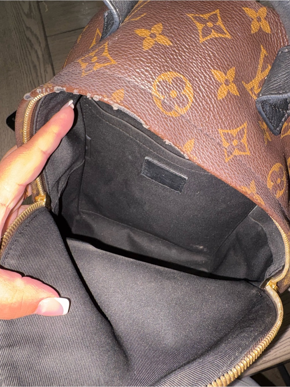 Louis Vuitton Palm Springs Backpack - Picture 9 of 13